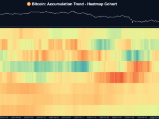 Nearly 80% Of Bitcoin Supply Hasn't Moved As Long-Term Holders Tighten Grip