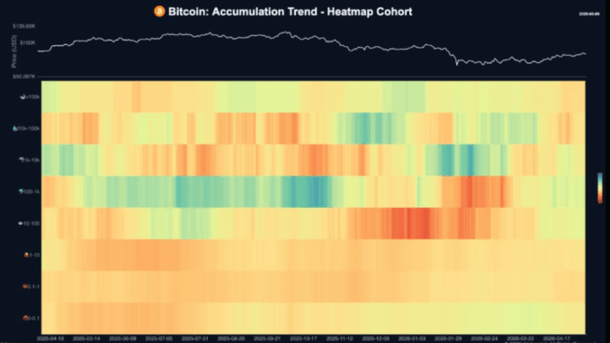Nearly 80% Of Bitcoin Supply Hasn't Moved As Long-Term Holders Tighten Grip