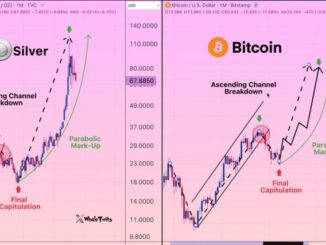 Bitcoin silver