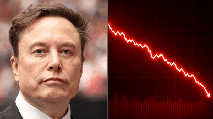 SpaceX Plunges to New Low as Musk’s Fortune Bleeds $35 Billion in One Day